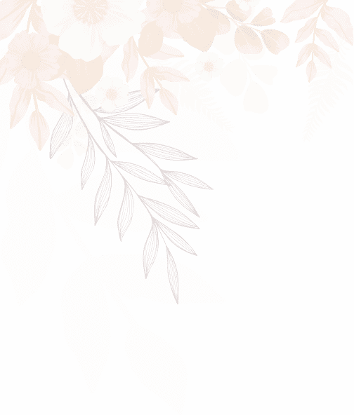 shape