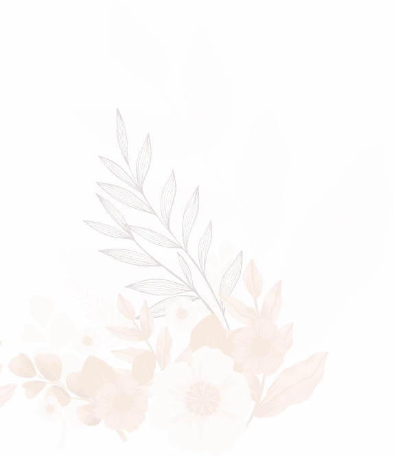 shape