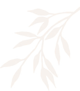 shape